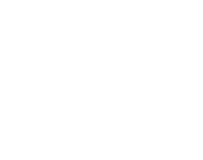 NBF-III-reversed1